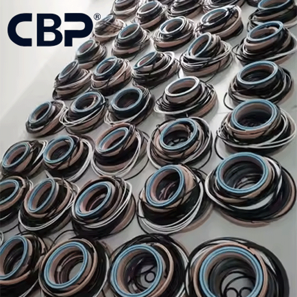 D17 Service Seal Repair Kit For SANY Drilling Rig SR250